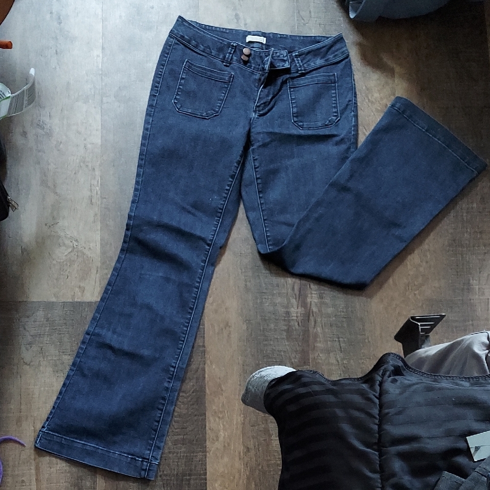 Coldwater Creek Dark Blue Flare Jeans